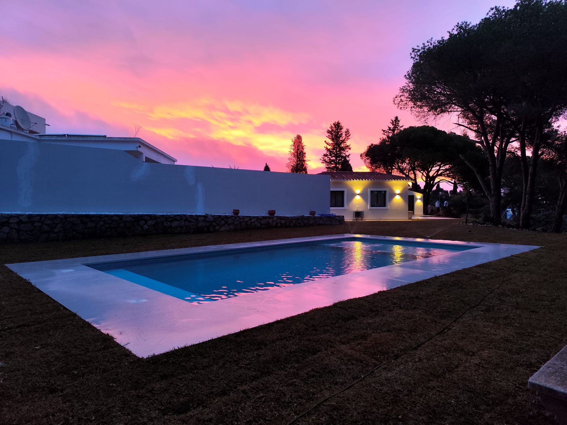 ELVIRIA ALTA