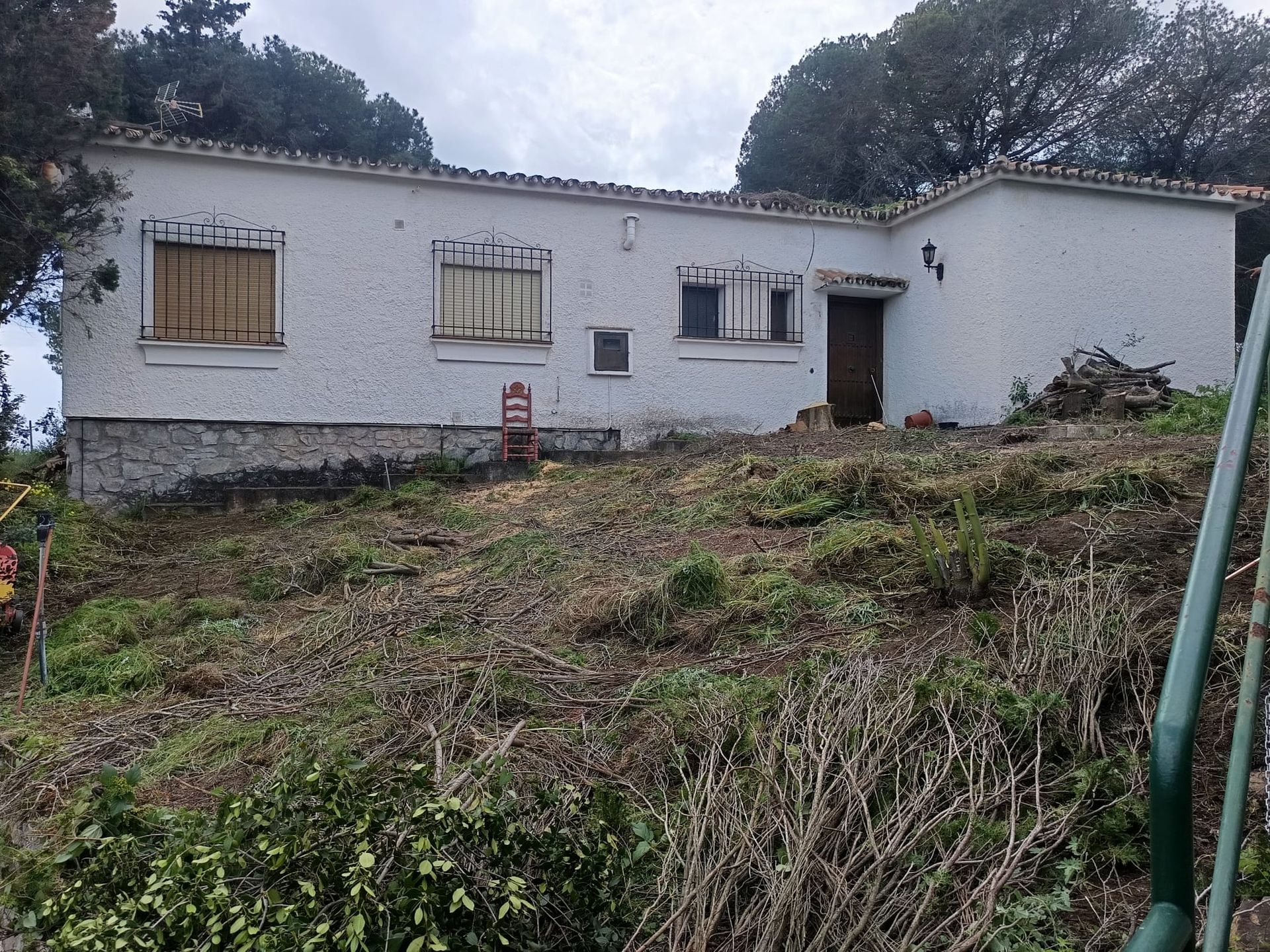 ELVIRIA ALTA